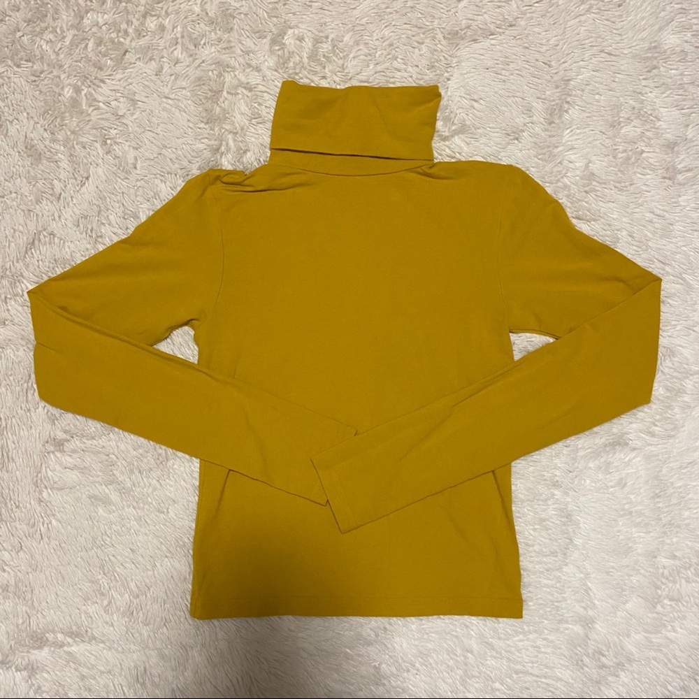 American Apparel Turtle Neck